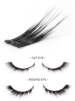 Comparison - Cat Eye vs Round Eye